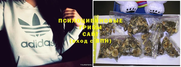 ECSTASY Абинск