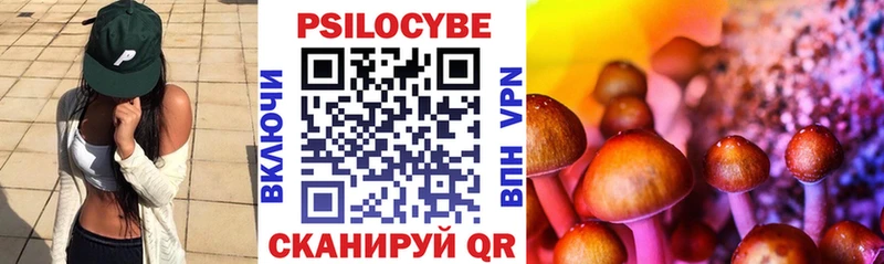 Псилоцибиновые грибы GOLDEN TEACHER  Партизанск 